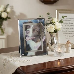 Personalised Pet Glass Photo Frame - Double Mirror Edge