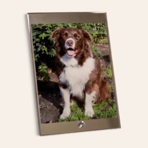 Personalised-Pet-Glass-Photo-Frame-Top-and-Bottom-Mirror-Edge-main