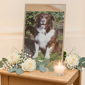 Personalised-Pet-Glass-Photo-Frame-Top-and-Bottom-Mirror-Edge-memorial-flowers