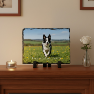 Alternative view of Pet Memorial Plaque - Slate