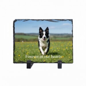 Pet Memorial Plaque - Slate