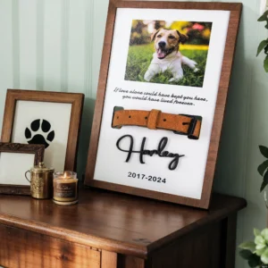 Pet Memorial Gifts