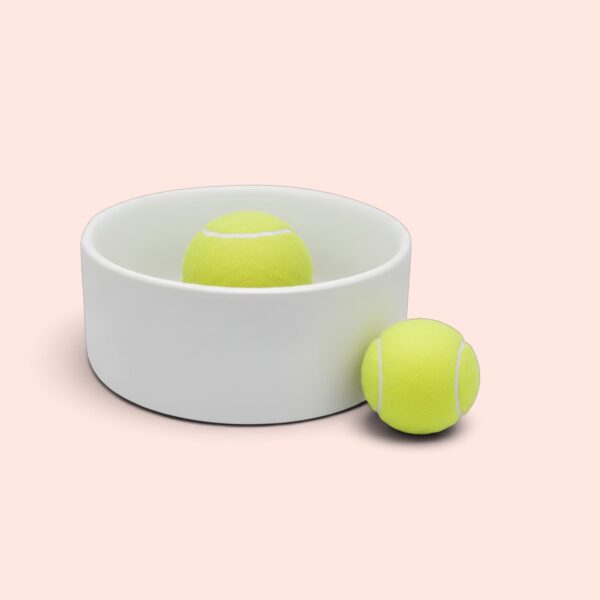 Personalised Ceramic Pet Bowl - Small