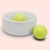 Personalised Ceramic Pet Bowl - Large