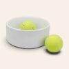 personalised-pet-bowl-small