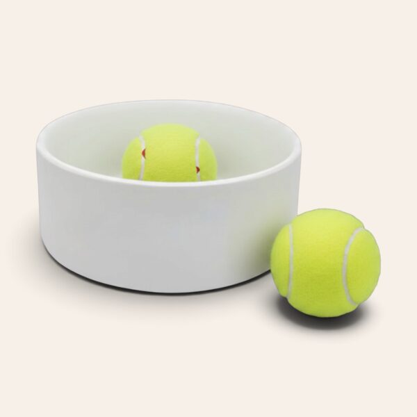 personalised-pet-bowl-small