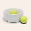 personalised-ceramic-pet-bowls-large