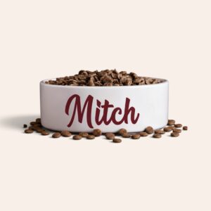 Personalised-pet-bowls