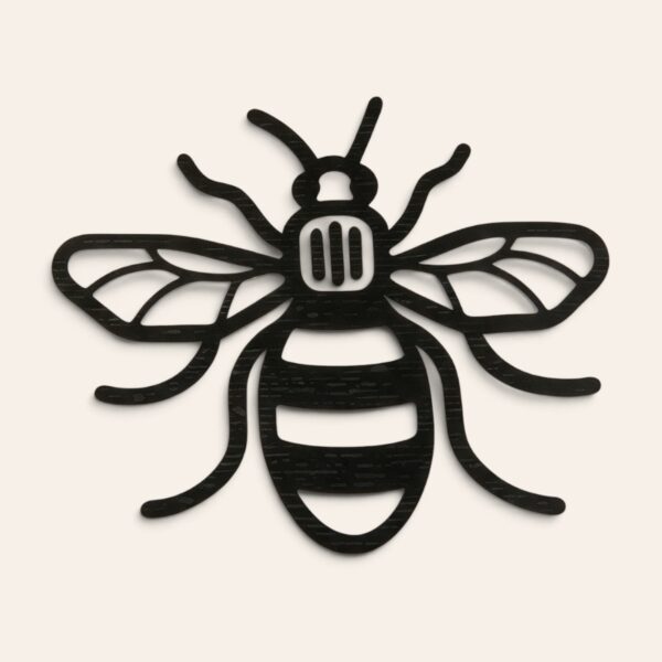manchester-bee-studioshot-main